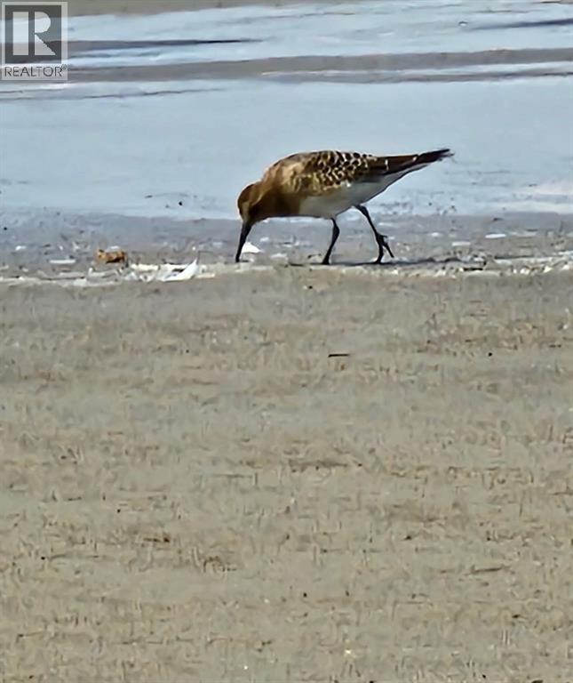 2 French Avenue, Rural Cardston County, Alberta T0K 0K0 - Photo 10 - A2286928