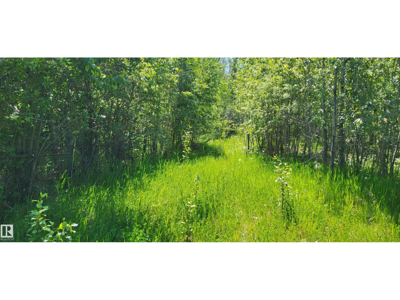 Twp 491 Range Road 73, Rural Brazeau County, Alberta  T7A 2A2 - Photo 5 - E4464263