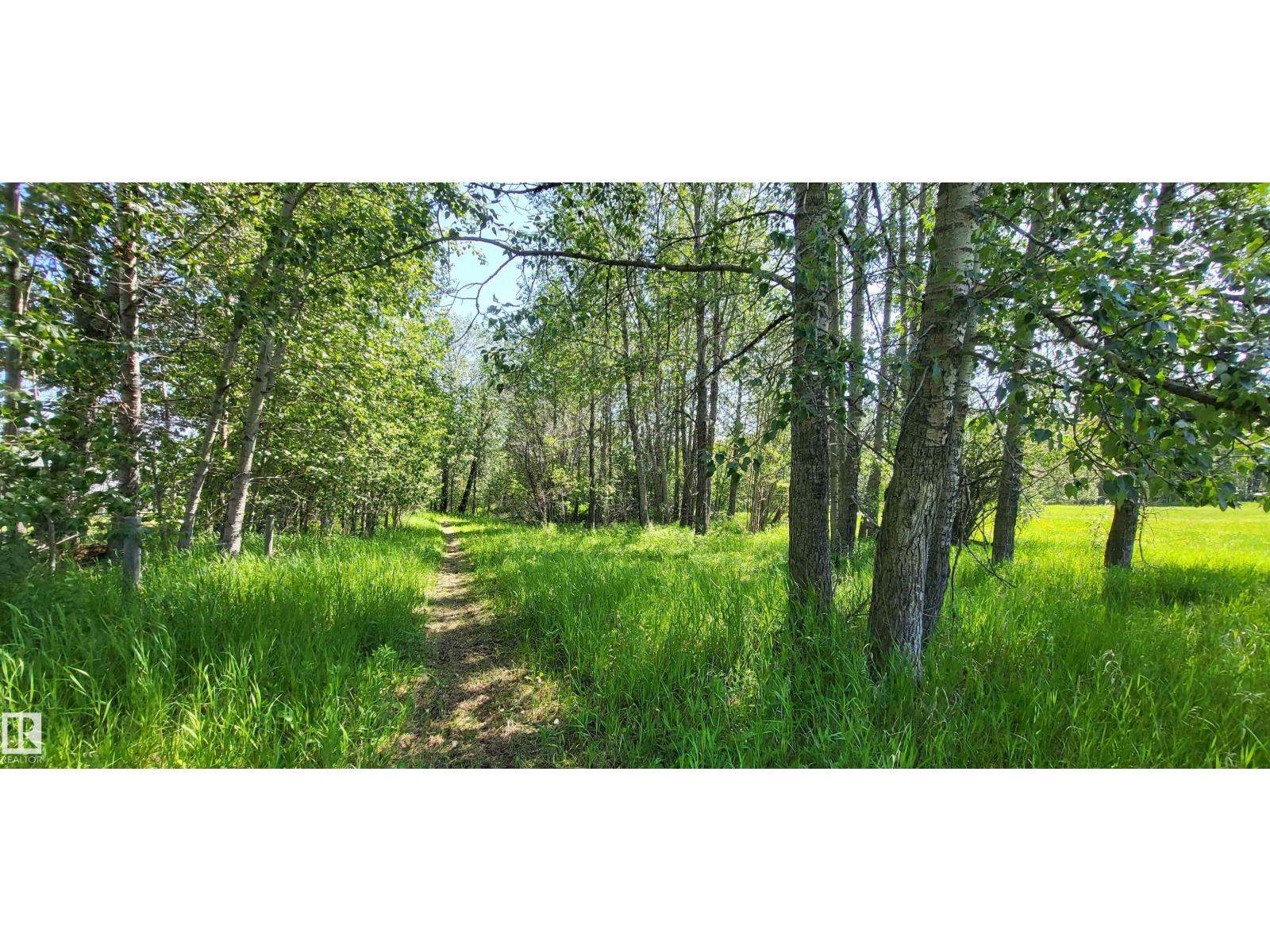 Twp 491 Range Road 73, Rural Brazeau County, Alberta  T7A 2A2 - Photo 3 - E4464263