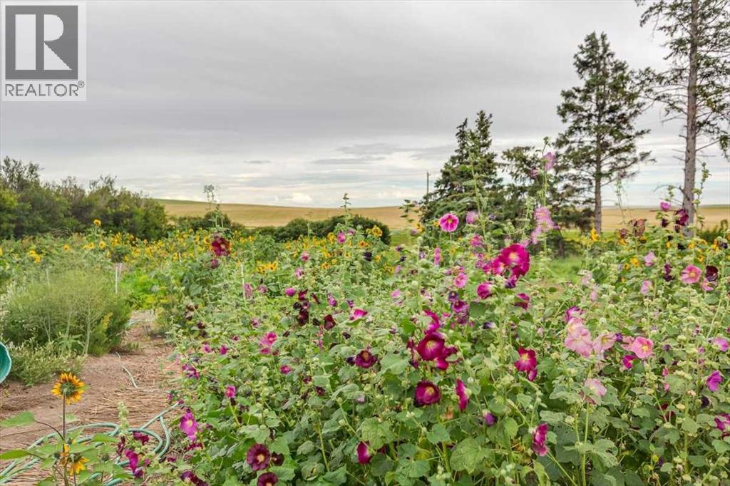 334078 Range Road 241, Rural Kneehill County, Alberta T0M 2C0 - Photo 31 - A2288095