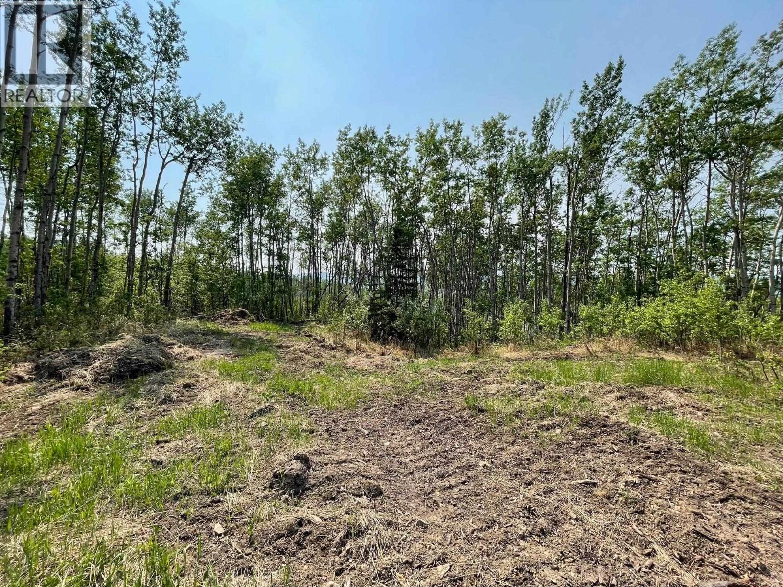 Lot 1 Sunnyside Drive, Charlie Lake, British Columbia  V0C 1H0 - Photo 4 - R3093264