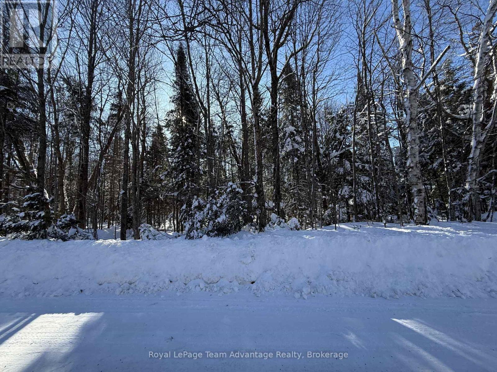 0 Lakeview Drive E, Ryerson, Ontario  P0A 1C0 - Photo 3 - X12820012