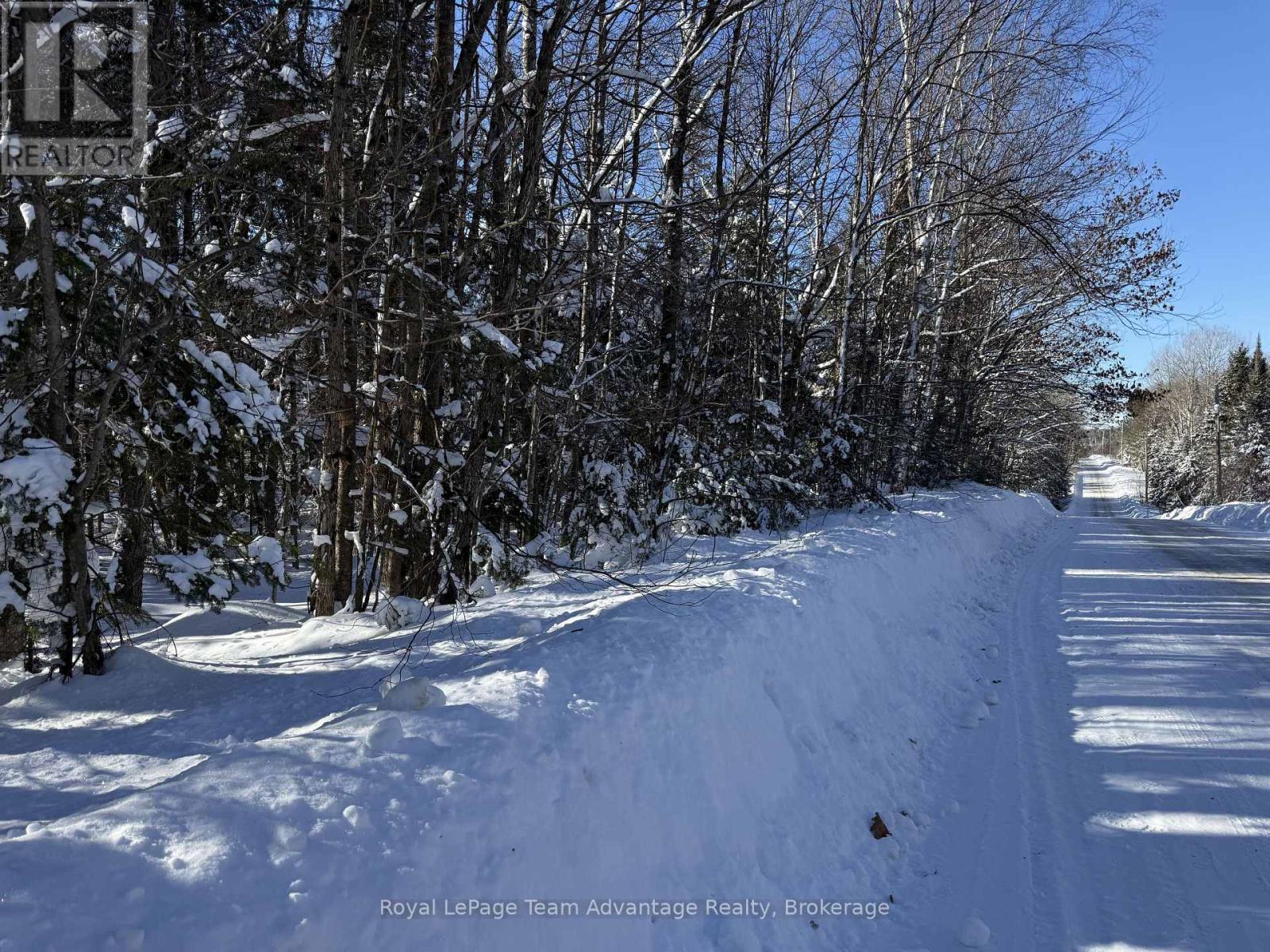 0 Lakeview Drive E, Ryerson, Ontario  P0A 1C0 - Photo 5 - X12820012