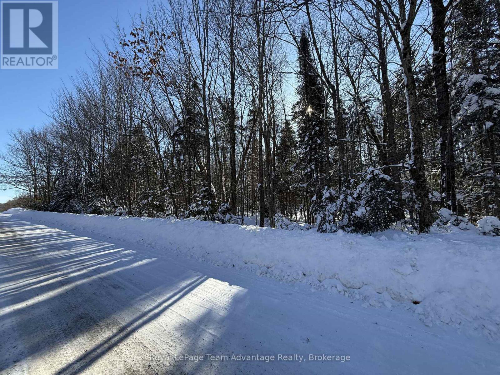 0 Lakeview Drive E, Ryerson, Ontario  P0A 1C0 - Photo 6 - X12820012