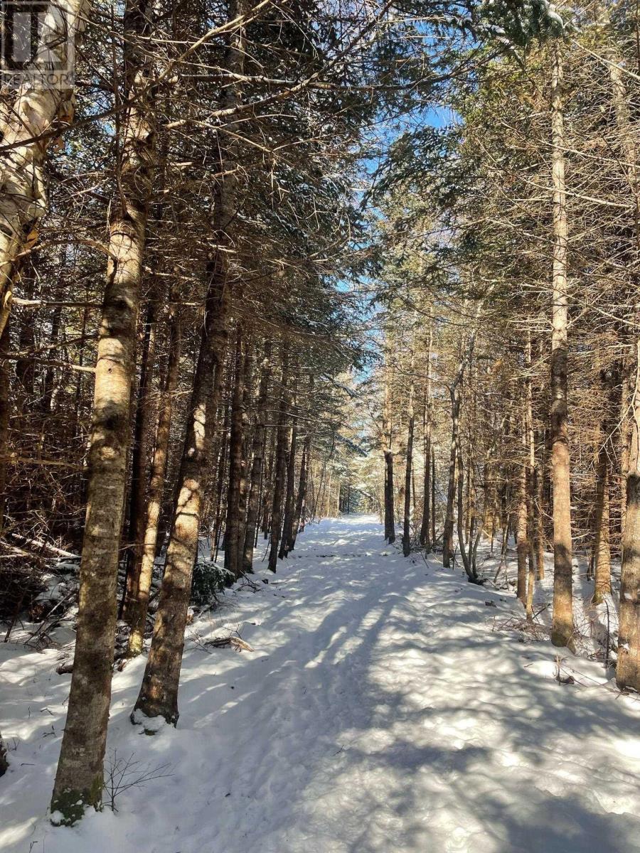 9409 Highway 215, Pembroke, Nova Scotia  B0N 2R0 - Photo 41 - 202603341