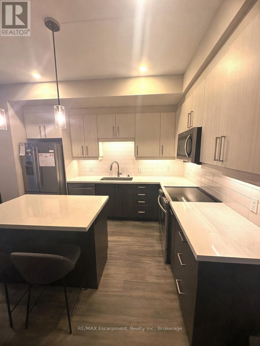 60 Park Avenue, St. Catharines, Ontario  L2P 1R2 - Photo 3 - X12820512