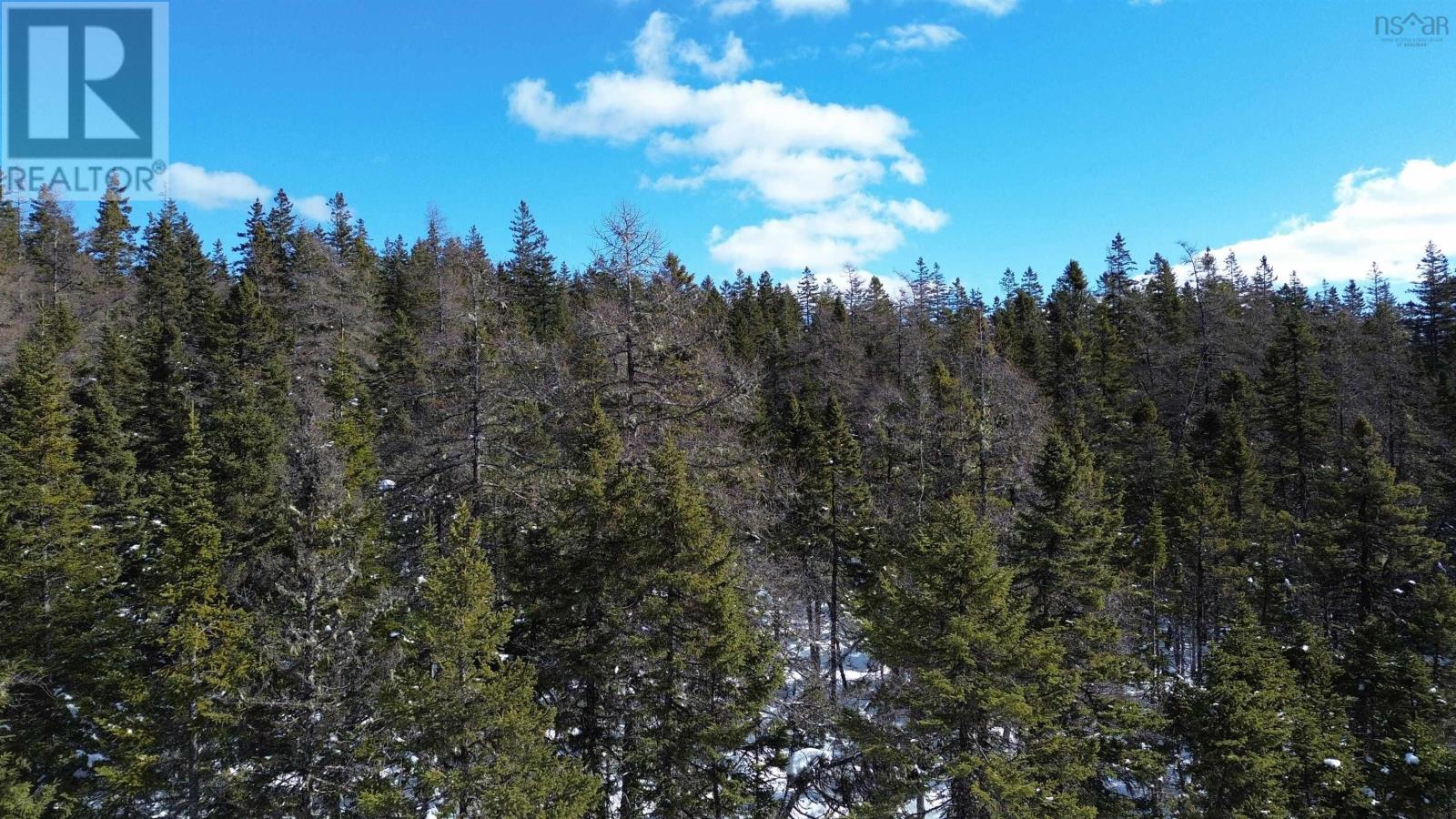 21 Doris Lane, Kempt Road, Nova Scotia  B0E 1J0 - Photo 3 - 202603377