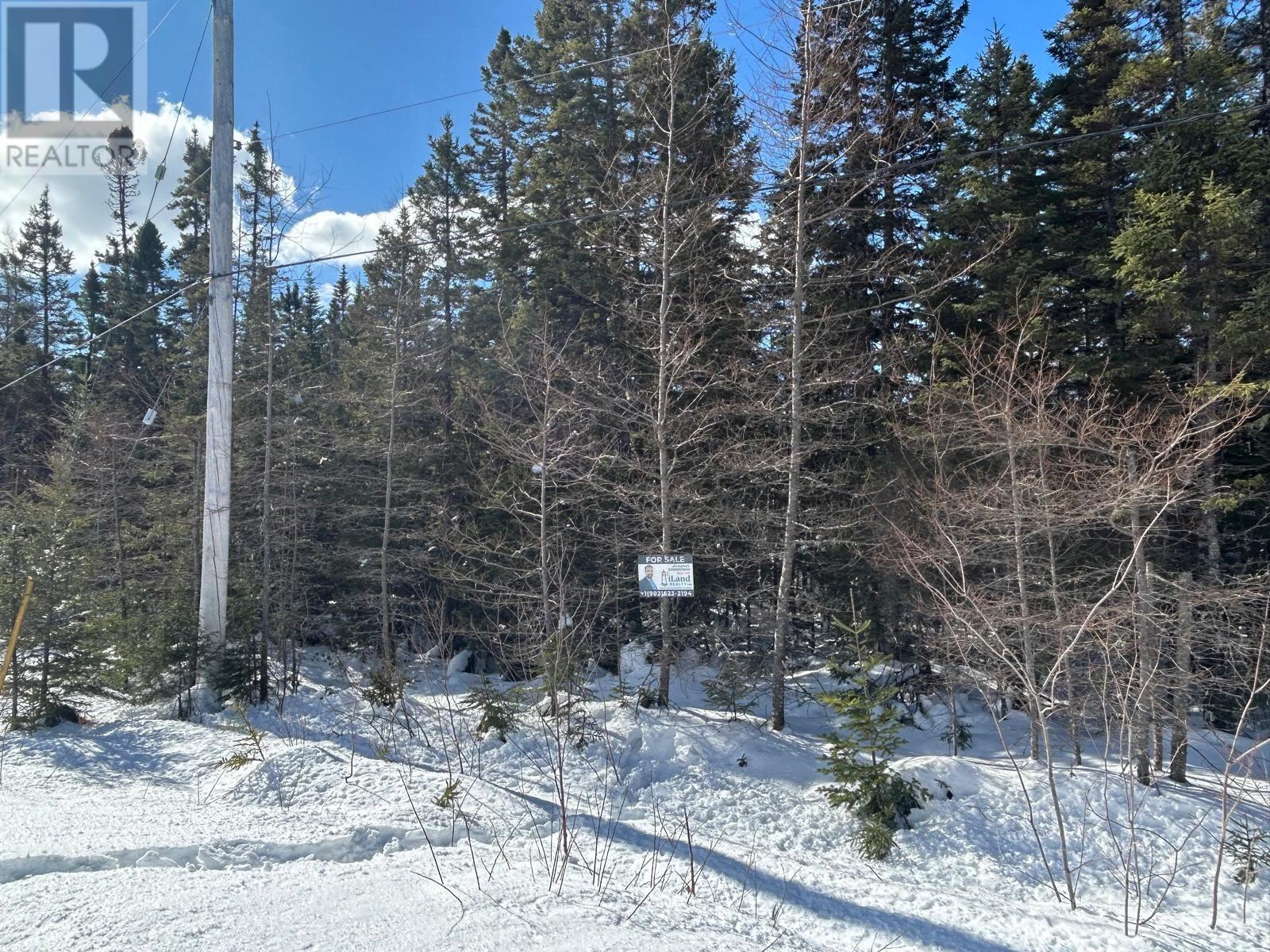 21 Doris Lane, Kempt Road, Nova Scotia  B0E 1J0 - Photo 5 - 202603377