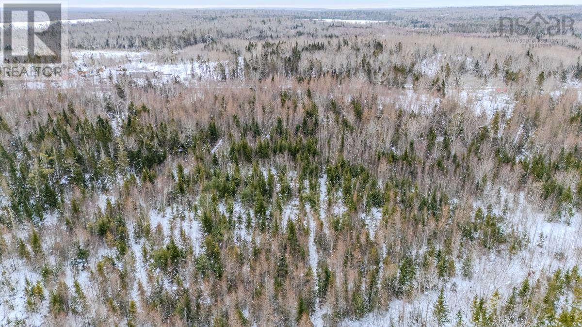 Lot Pleasant Valley Road, Pleasant Valley, Nova Scotia  B0N 1C0 - Photo 10 - 202603382
