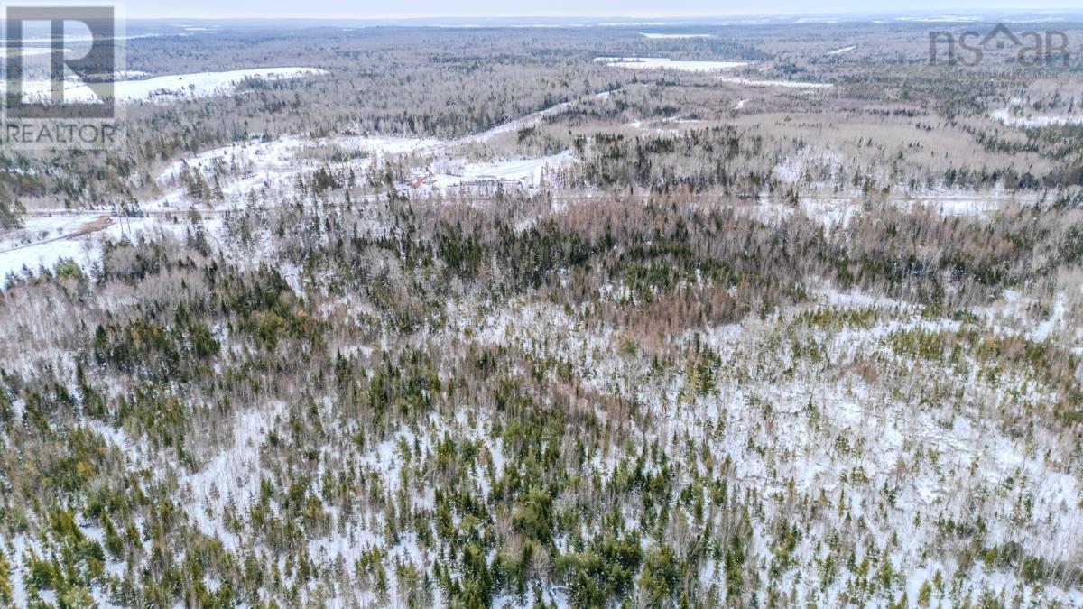 Lot Pleasant Valley Road, Pleasant Valley, Nova Scotia  B0N 1C0 - Photo 22 - 202603382