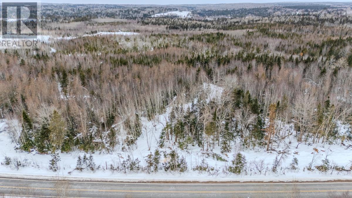 Lot Pleasant Valley Road, Pleasant Valley, Nova Scotia  B0N 1C0 - Photo 5 - 202603388