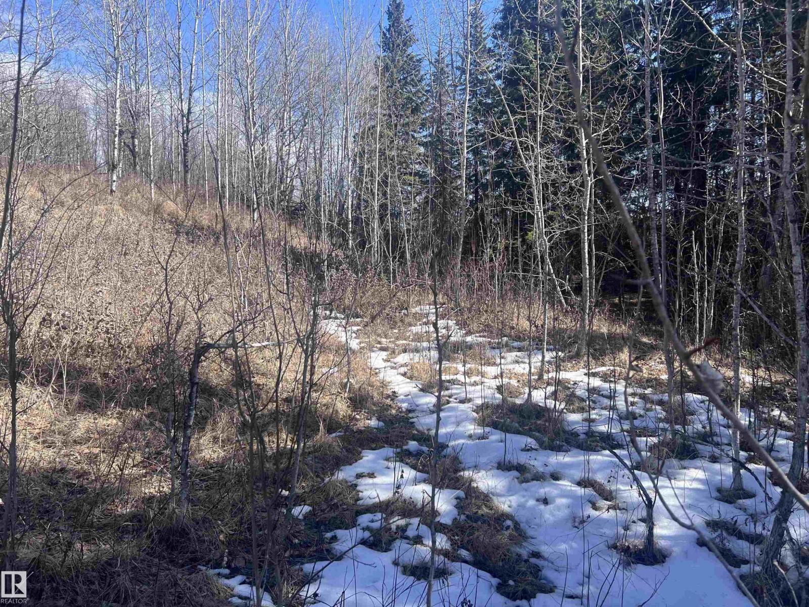 4-23-63-17 Se, Rural Athabasca County, Alberta  T0A 0M0 - Photo 10 - E4474829