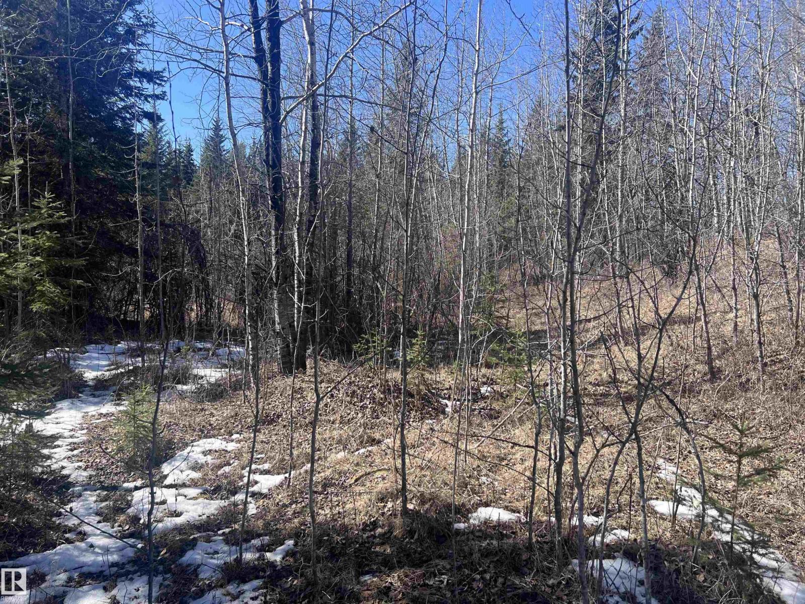 4-23-63-17 Se, Rural Athabasca County, Alberta  T0A 0M0 - Photo 12 - E4474829