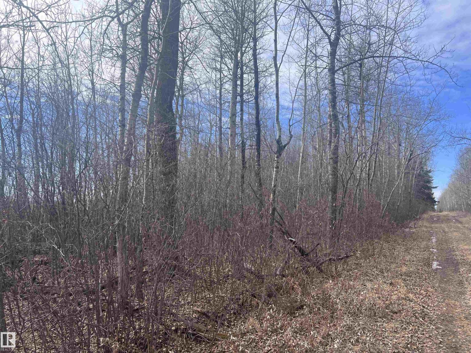 4-23-63-17 Se, Rural Athabasca County, Alberta  T0A 0M0 - Photo 6 - E4474829