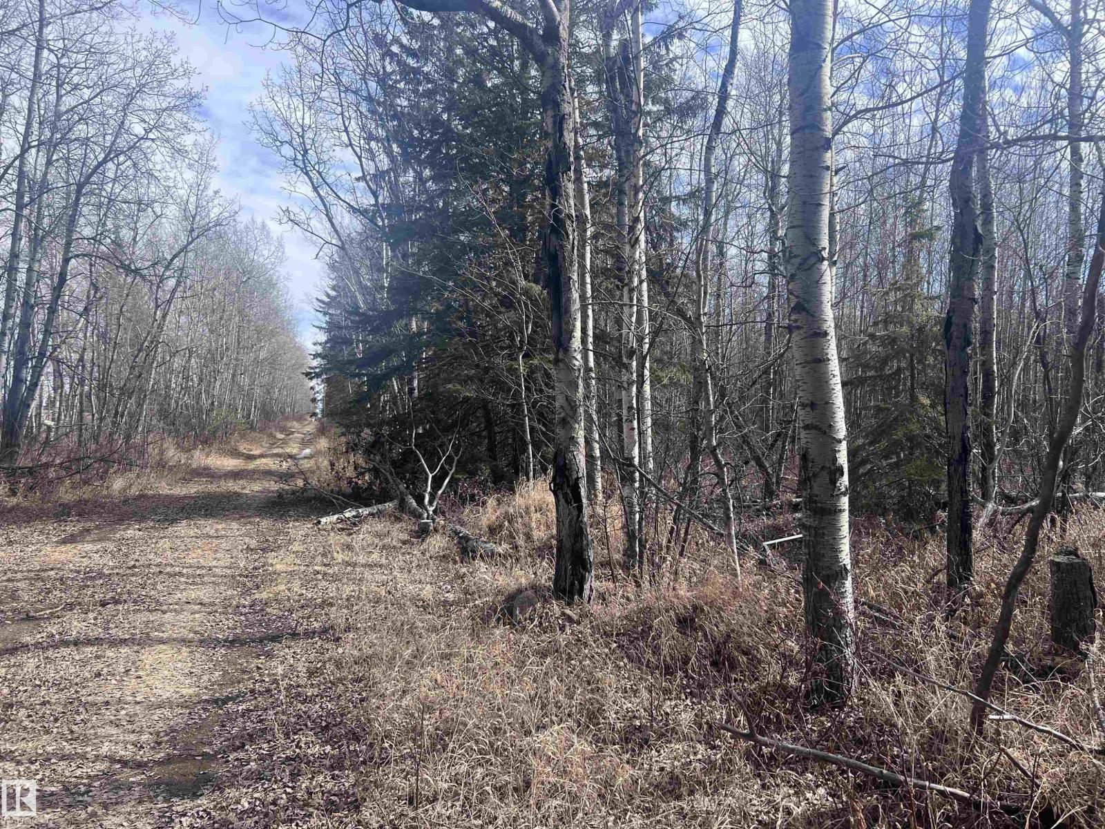 4-23-63-17 Se, Rural Athabasca County, Alberta  T0A 0M0 - Photo 7 - E4474829