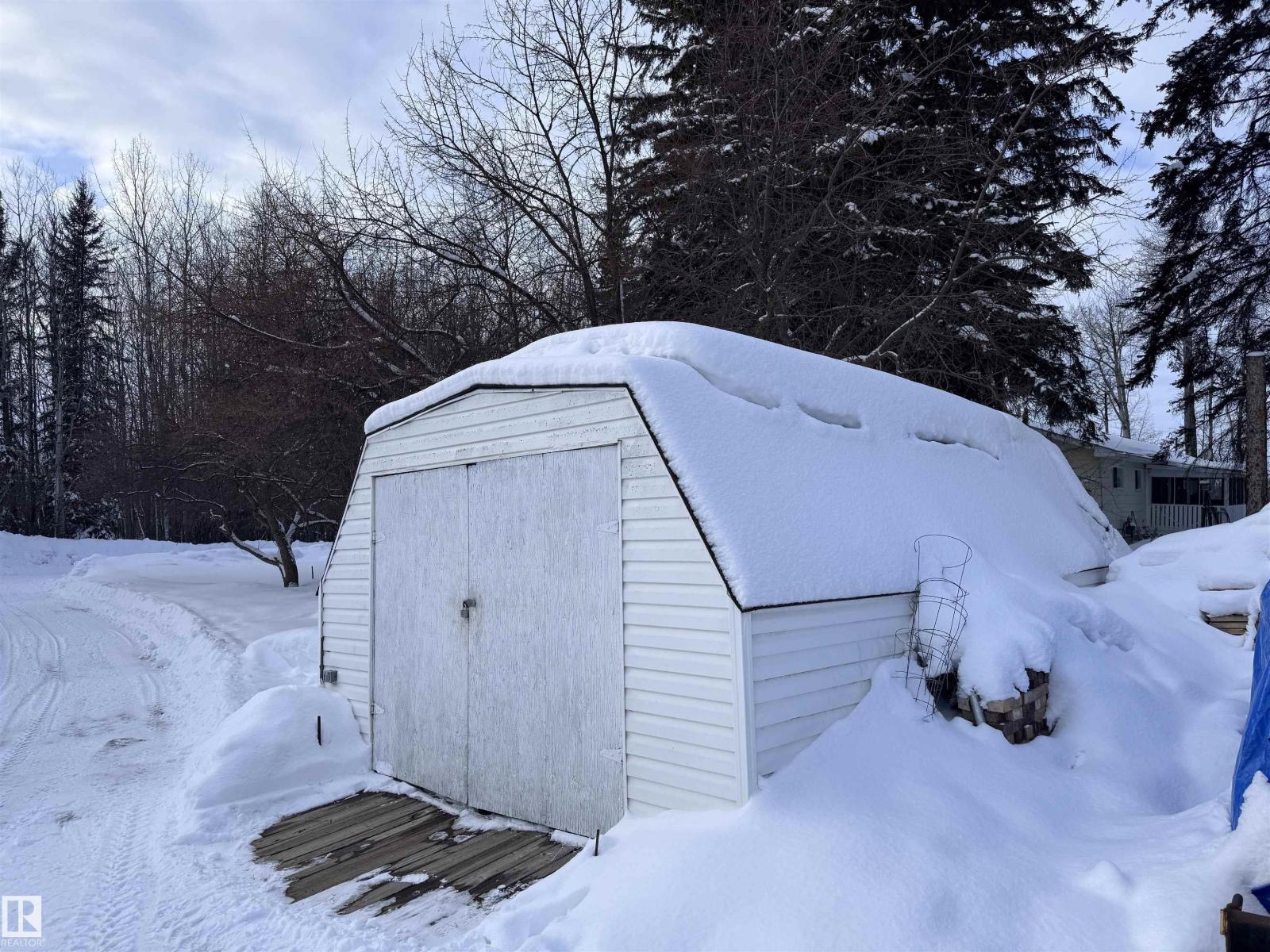 5309 51 St, Jarvie, Alberta  T0G 1H0 - Photo 29 - E4474828
