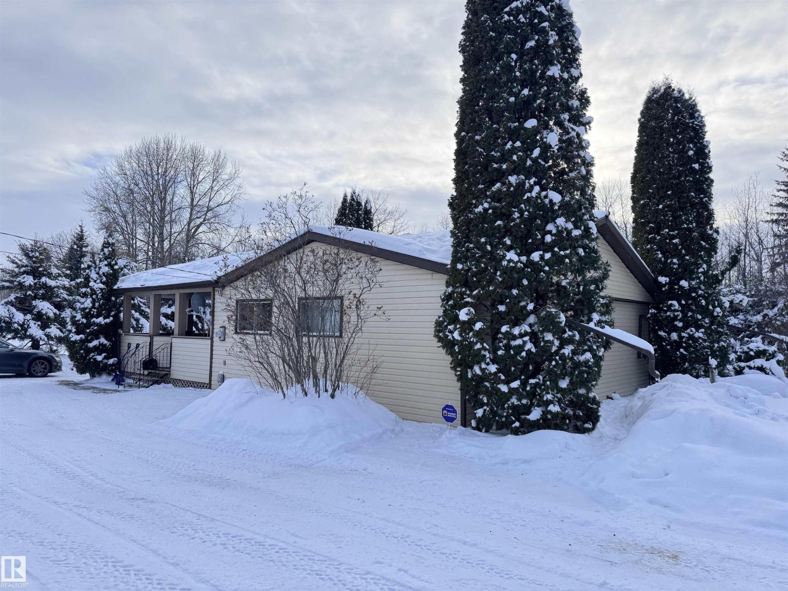 5309 51 St, Jarvie, Alberta  T0G 1H0 - Photo 38 - E4474828