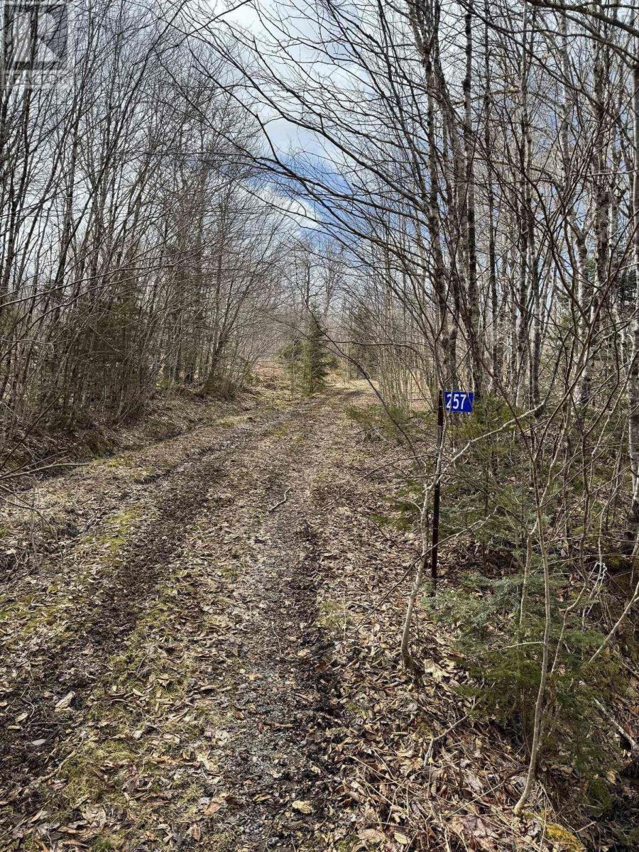 257 Birch Road, Guysborough, Nova Scotia  B0H 1N0 - Photo 11 - 202507683