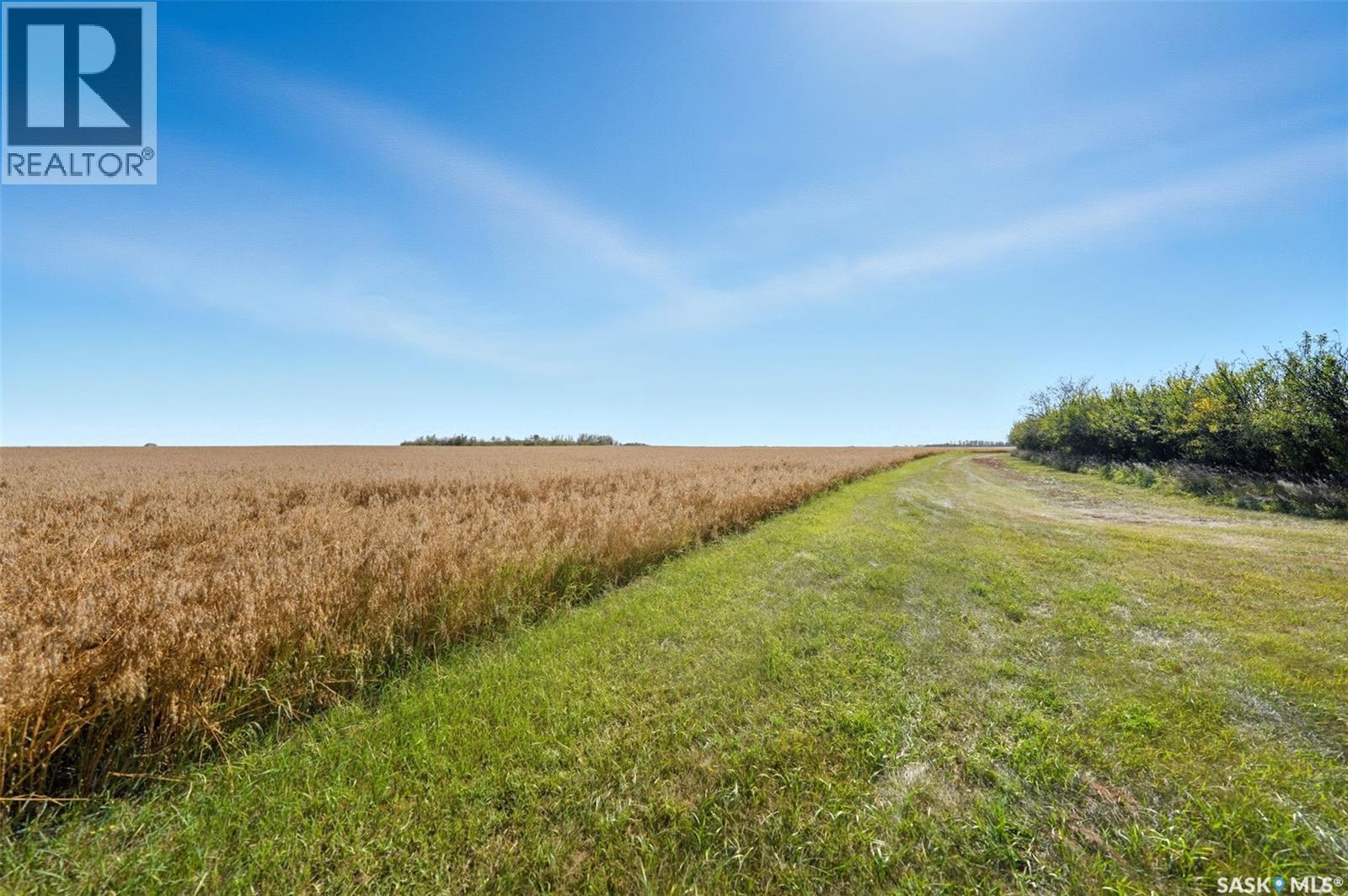 475 Dalmeny Road, Corman Park Rm No. 344, Saskatchewan  S7H 0T6 - Photo 11 - SK029056