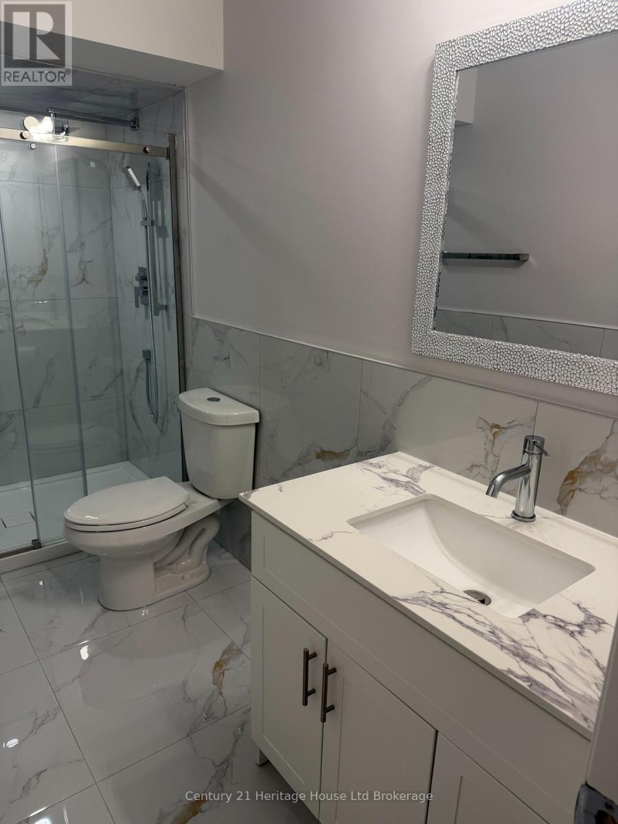 Basement - 55 Hollingshead Road, Ingersoll, Ontario  N5C 0B5 - Photo 20 - X12820956