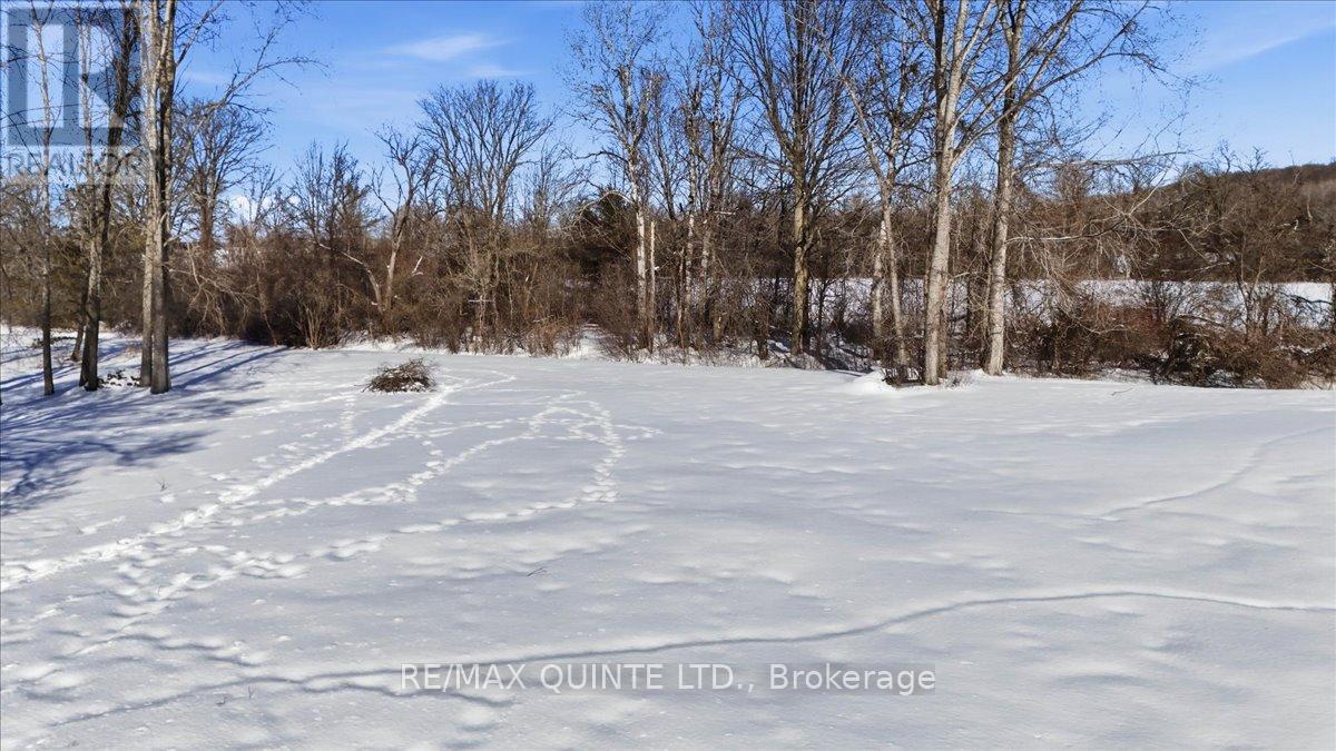 169 Wallbridge Road, Quinte West, Ontario  K0K 2C0 - Photo 29 - X12820894