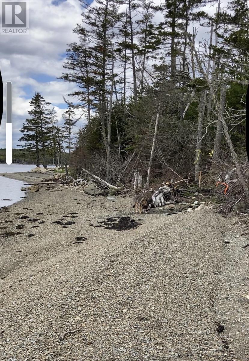 Lot 21-2 West Liscomb Point Road, West Liscomb, Nova Scotia  B0J 2A0 - Photo 2 - 202601909