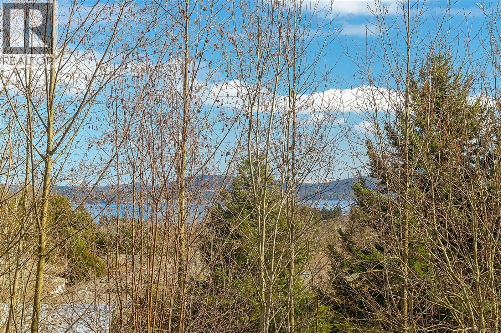 9629 Askew Creek Dr, Chemainus, British Columbia  V0R 1K3 - Photo 15 - 1026593