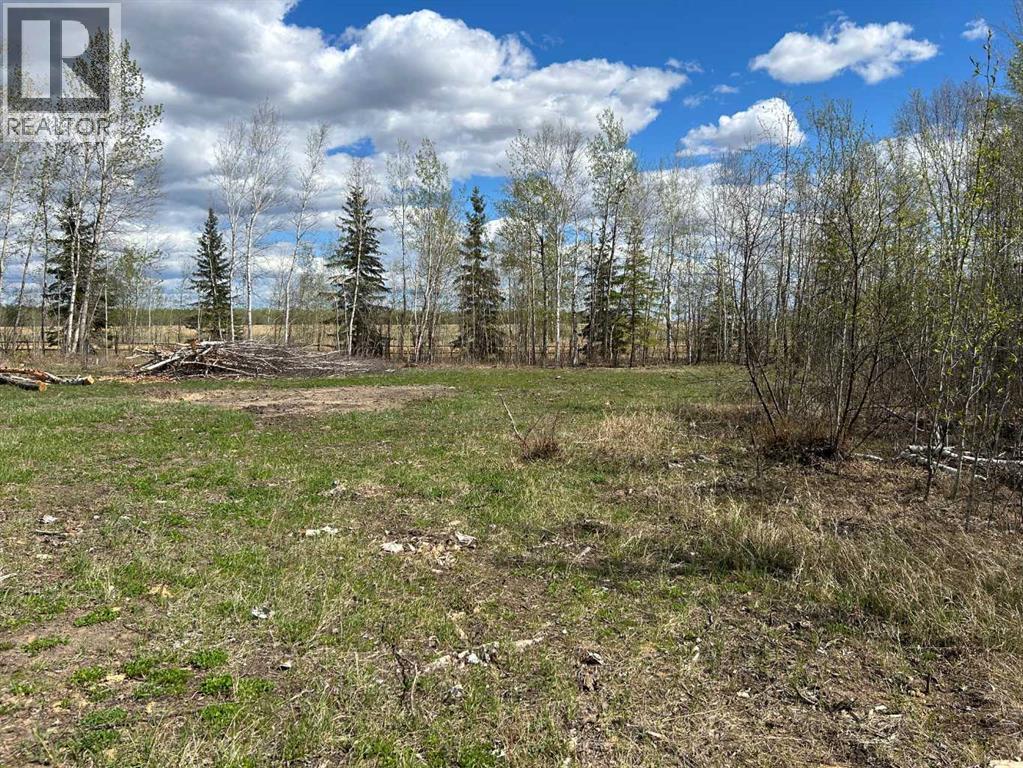 7, 654036 Rge Rd 222, Athabasca, Alberta  T9S 2A5 - Photo 13 - A2252455