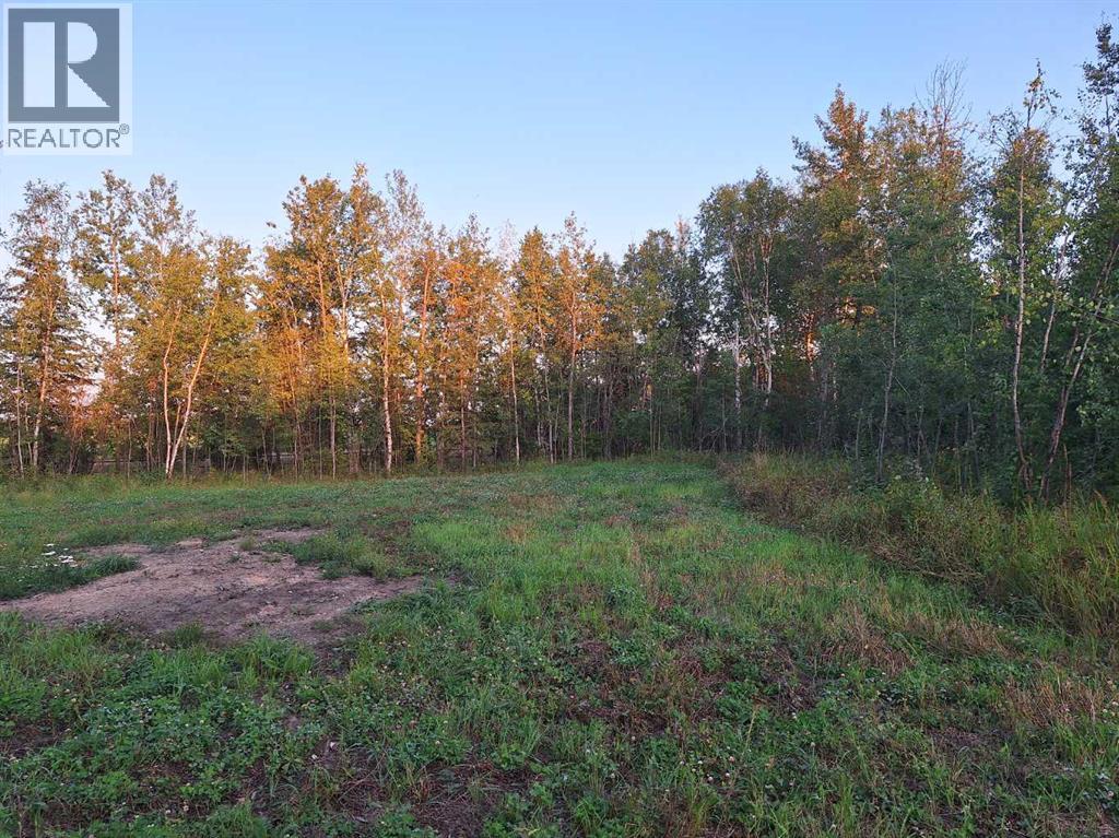 7, 654036 Rge Rd 222, Athabasca, Alberta  T9S 2A5 - Photo 6 - A2252455