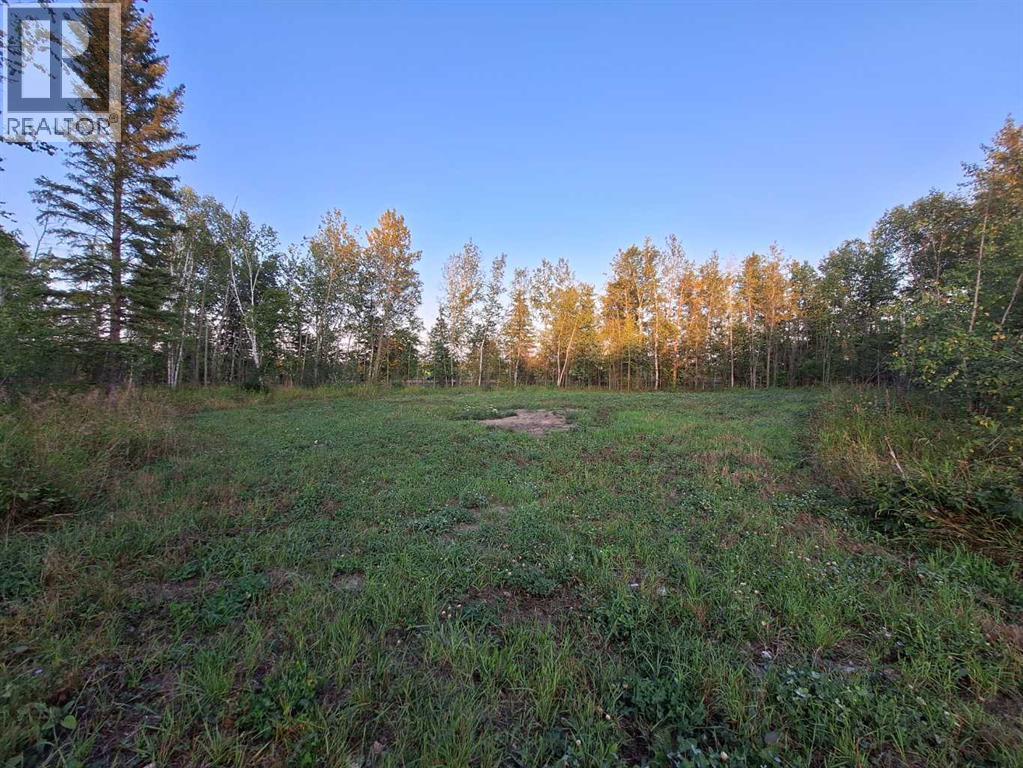 7, 654036 Rge Rd 222, Athabasca, Alberta  T9S 2A5 - Photo 4 - A2252455