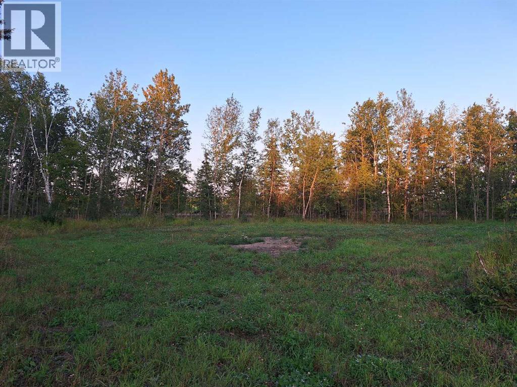 7, 654036 Rge Rd 222, Athabasca, Alberta  T9S 2A5 - Photo 5 - A2252455