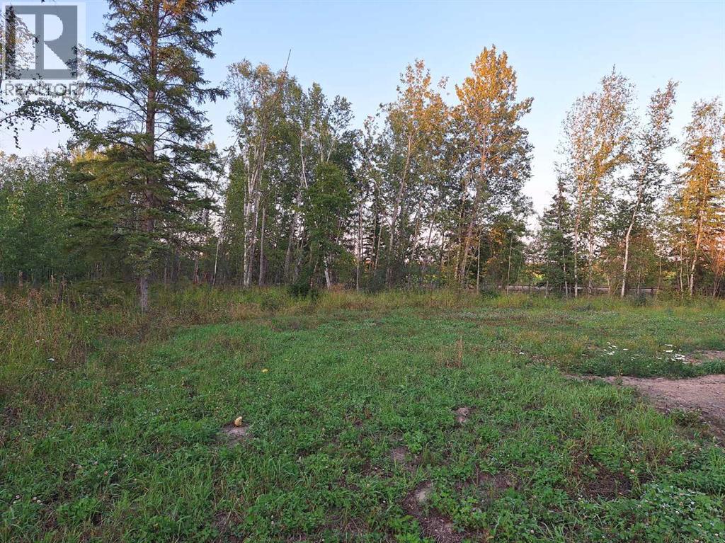 7, 654036 Rge Rd 222, Athabasca, Alberta  T9S 2A5 - Photo 7 - A2252455