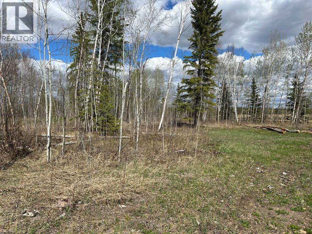 7, 654036 Rge Rd 222, Athabasca, Alberta  T9S 2A5 - Photo 14 - A2252455