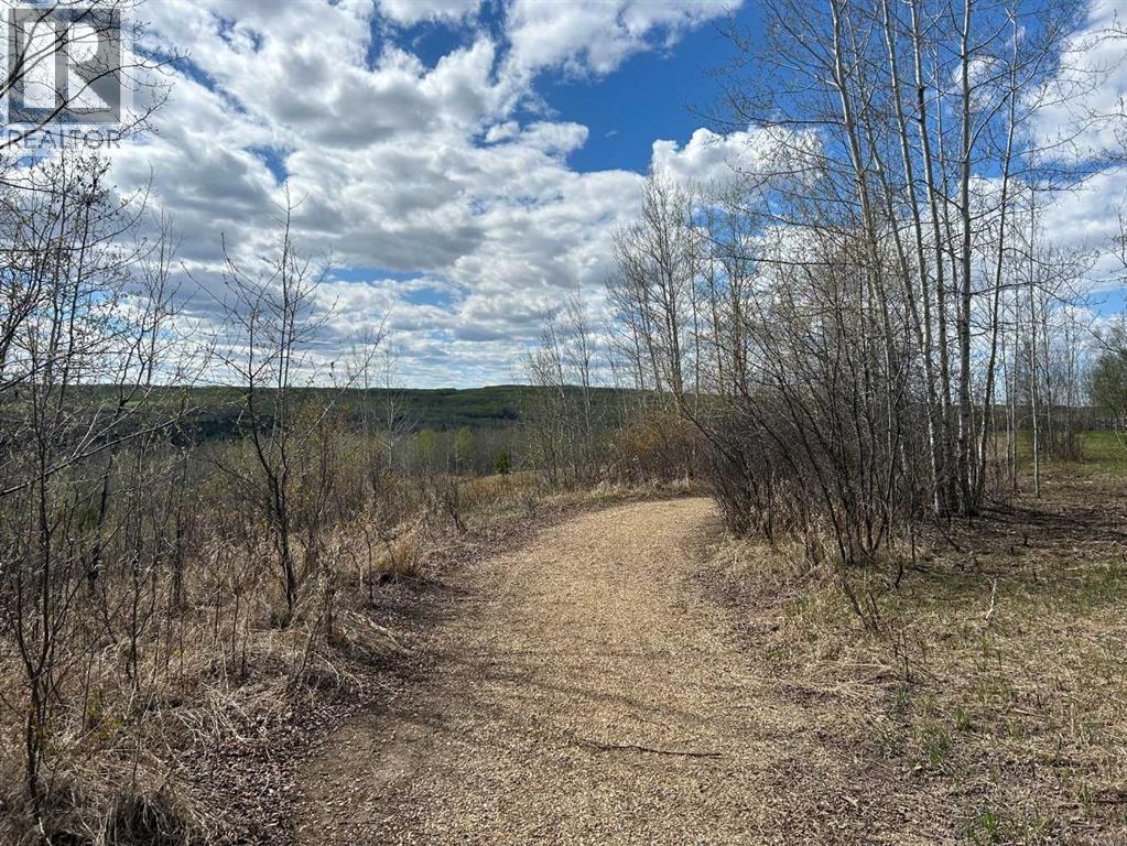 7, 654036 Rge Rd 222, Athabasca, Alberta  T9S 2A5 - Photo 28 - A2252455