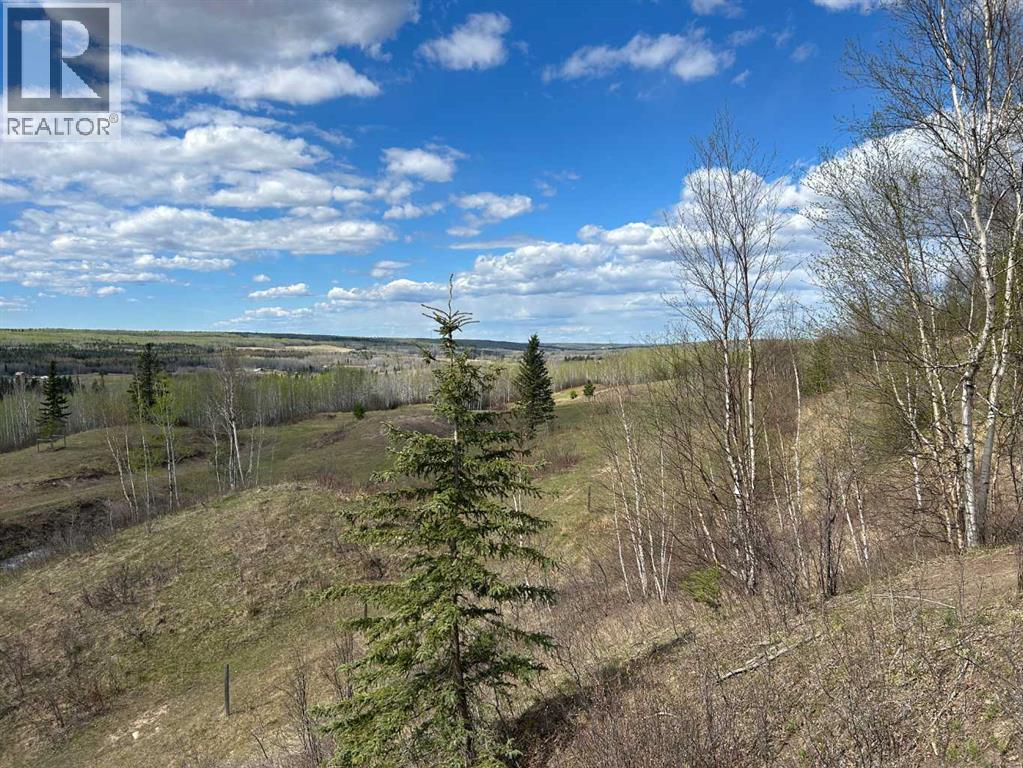 7, 654036 Rge Rd 222, Athabasca, Alberta  T9S 2A5 - Photo 31 - A2252455