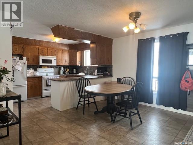 35 Assiniboia Avenue, Dubuc, Saskatchewan  S0A 0R0 - Photo 11 - SK029055