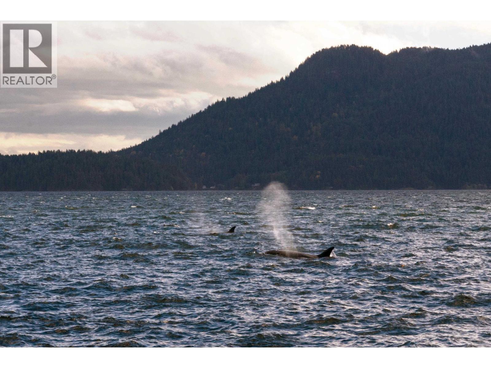 Lot 4 Strahan Road, Gambier Island, British Columbia  V0N 1V0 - Photo 17 - R3089891