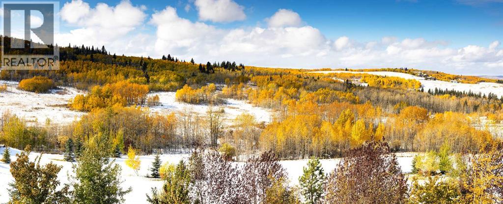 43 Red Willow Crescent W, Rural Foothills County, Alberta  T1S 3J7 - Photo 42 - A2284309