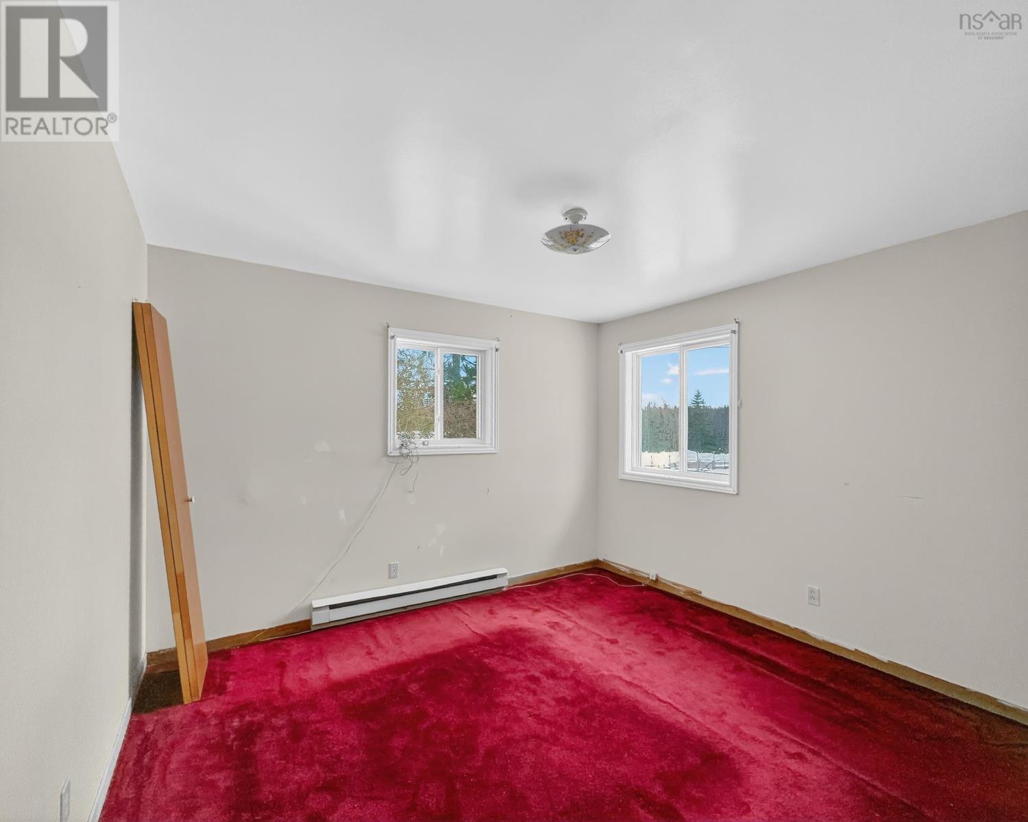 137 Hills Road, Albert Bridge, Nova Scotia  B1K 3E2 - Photo 11 - 202602352