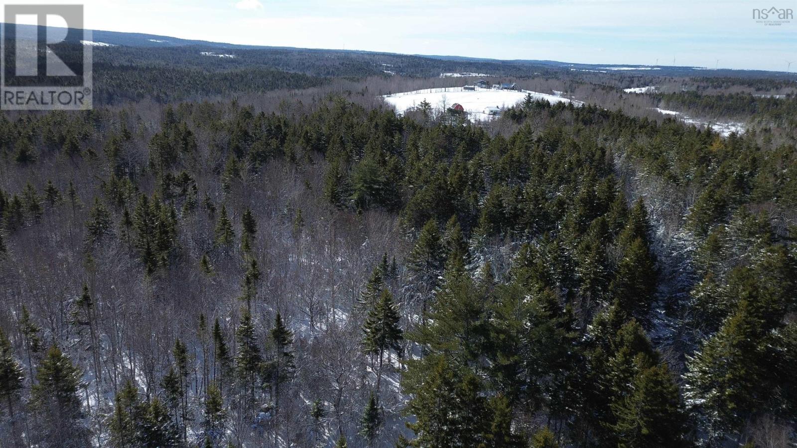 60 Acres Wile Settlement Road, Wile Settlement, Nova Scotia  B0N 2T0 - Photo 8 - 202603389