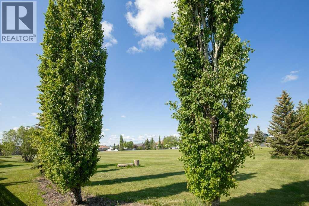 431 Carriage Lane Crossing, Carstairs, Alberta  T0M 0N0 - Photo 9 - A2265667