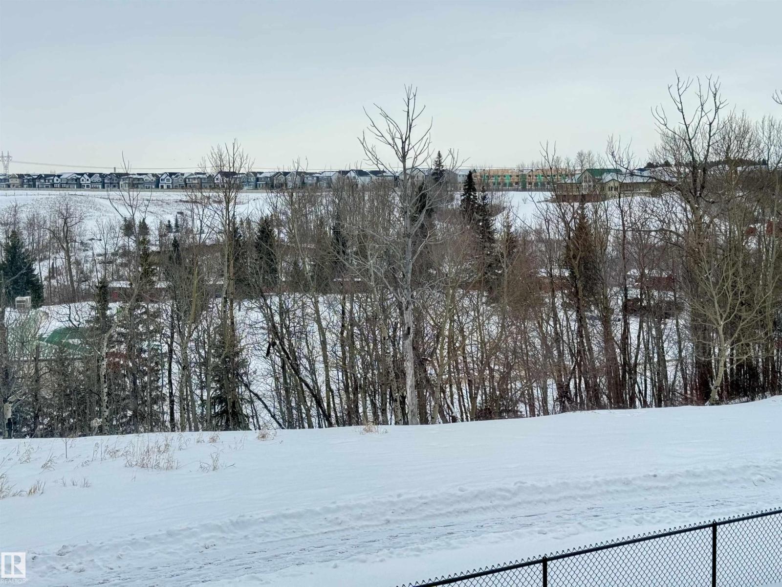 285 Glenridding Ravine Rd Sw, Edmonton, Alberta  T6W 5J6 - Photo 11 - E4471255