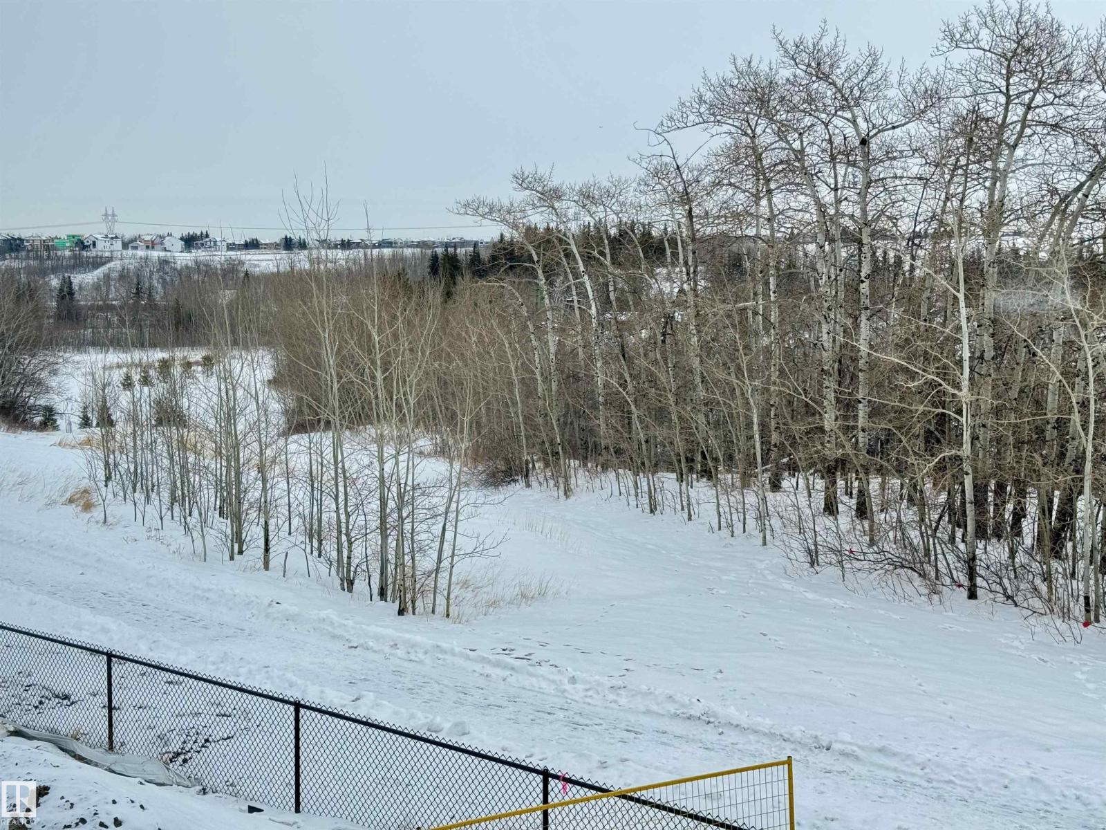 285 Glenridding Ravine Rd Sw, Edmonton, Alberta  T6W 5J6 - Photo 10 - E4471255