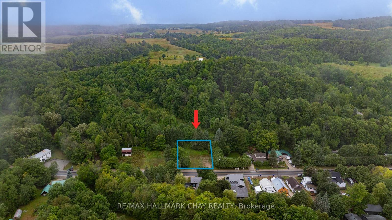 8968 County Road 9, Clearview, Ontario  L0M 1G0 - Photo 3 - S12821440