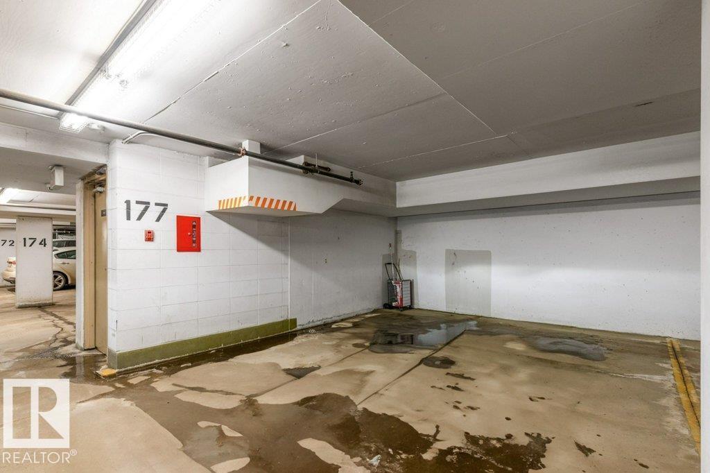 #308 9020 Jasper Av Nw, Edmonton, Alberta T5H 3S8 - Photo 37 - E4474840