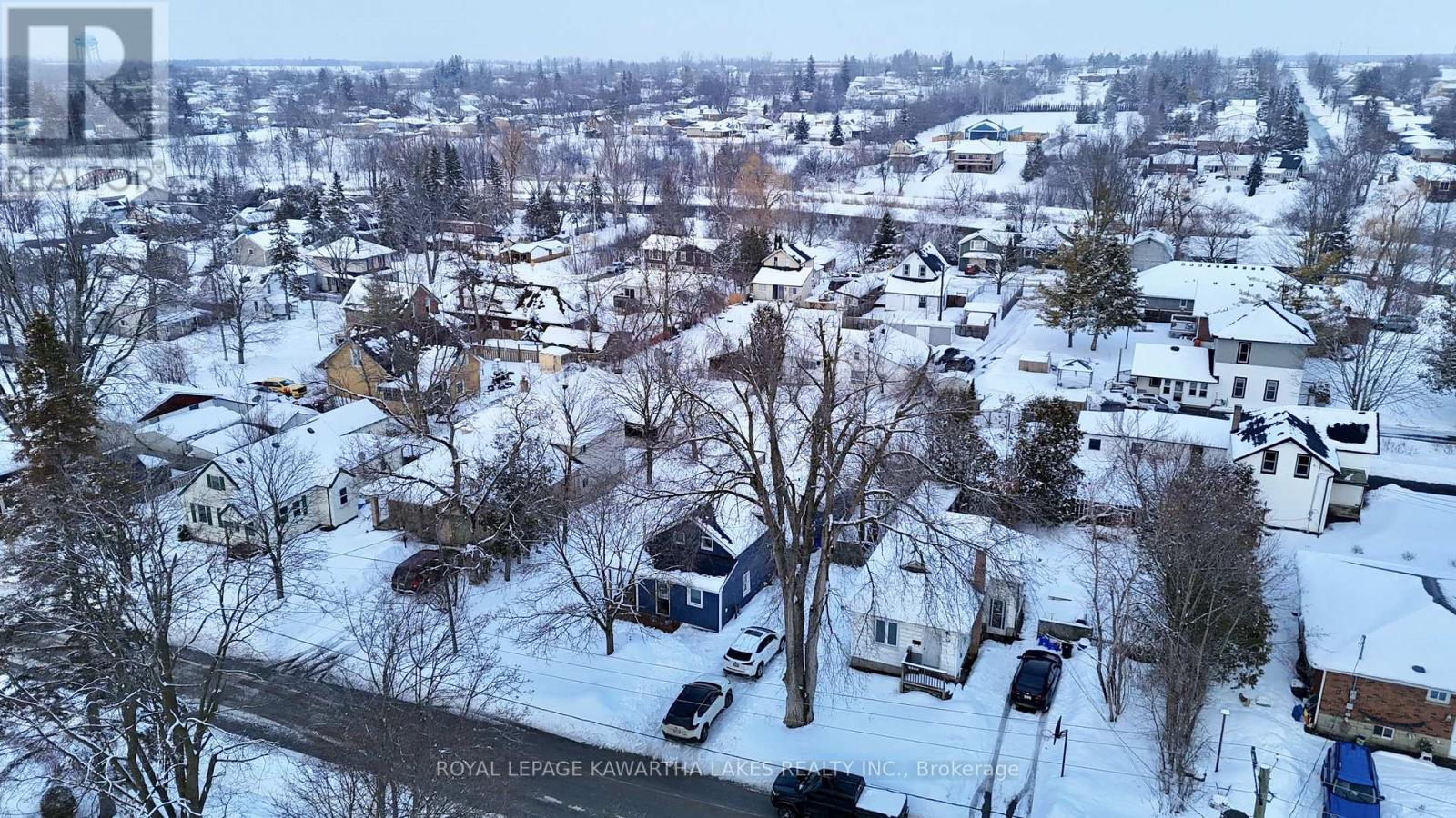 32 Georgian Street, Kawartha Lakes, Ontario  K9V 2E6 - Photo 30 - X12821632