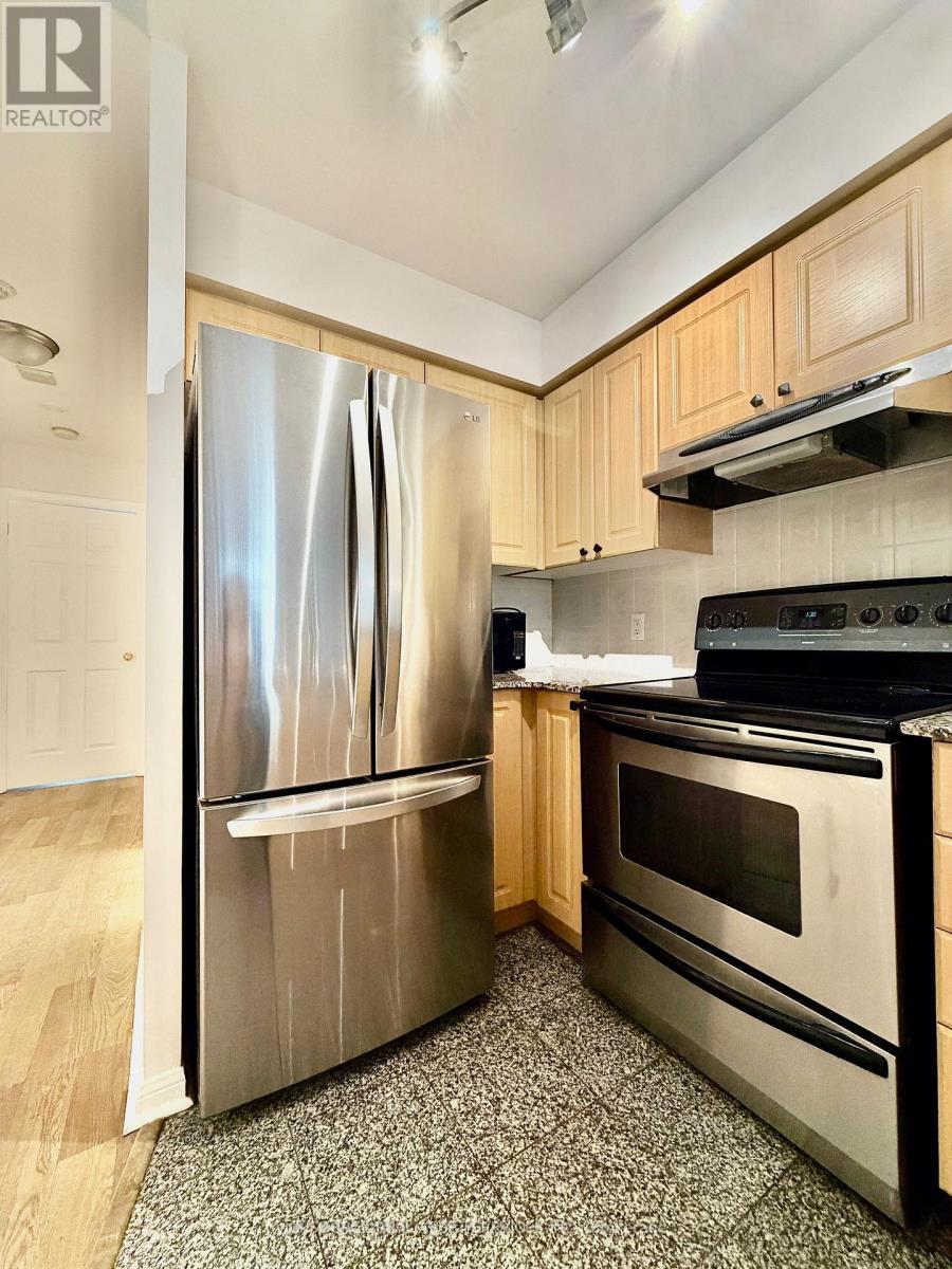 372 - 32 Stadium Road, Toronto, Ontario  M5V 3P4 - Photo 7 - C12737966