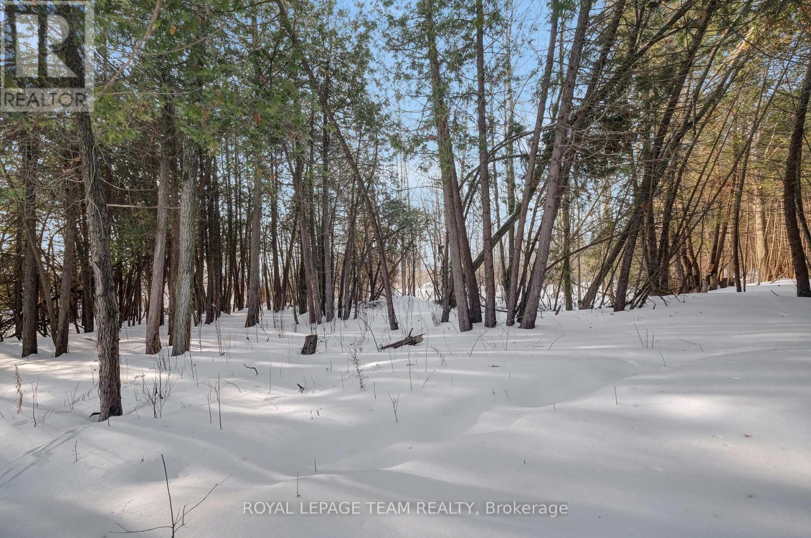 13025 Mackenzie Road, South Dundas, Ontario  K0C 1H0 - Photo 36 - X12821618