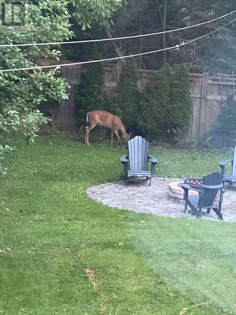 Basement - 27 Valley Trail, East Gwillimbury, Ontario  L3Y 4V8 - Photo 5 - N12821674
