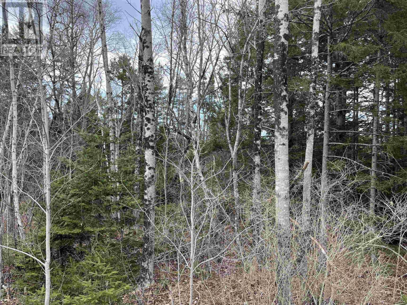 N-200 Sarty Road, Hebbs Cross, Nova Scotia B4V 0X6 - Photo 1 - 202602993